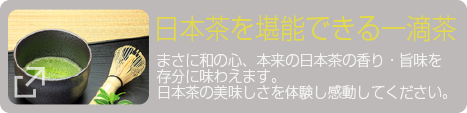 日本茶を堪能できる一滴茶